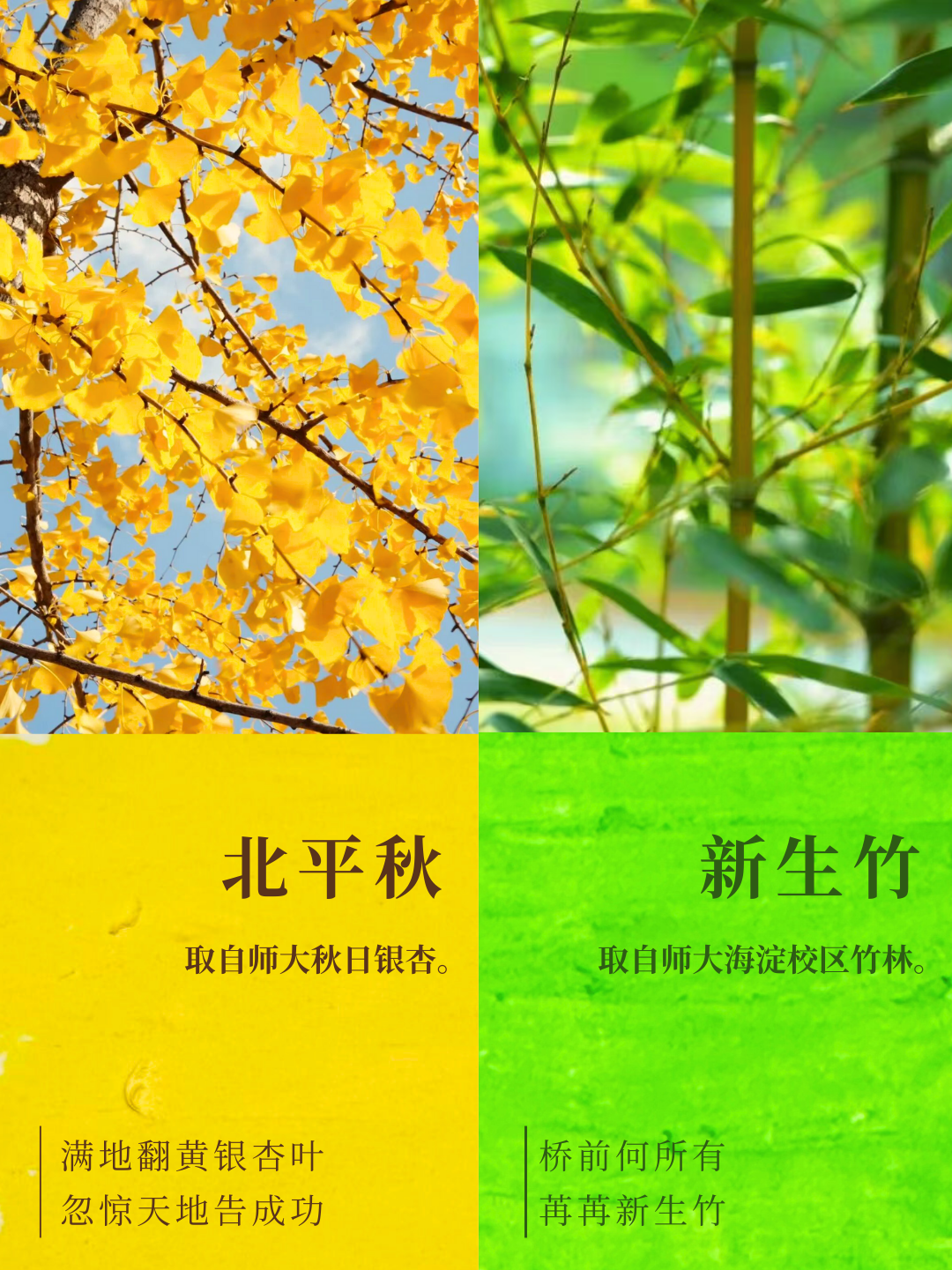 微信图片_2026-01-01_231304_700.png